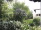 Wohnen auf einer Ebene! 
Wohnhaus mit Einliegerwohnung in Kirchham - Garten