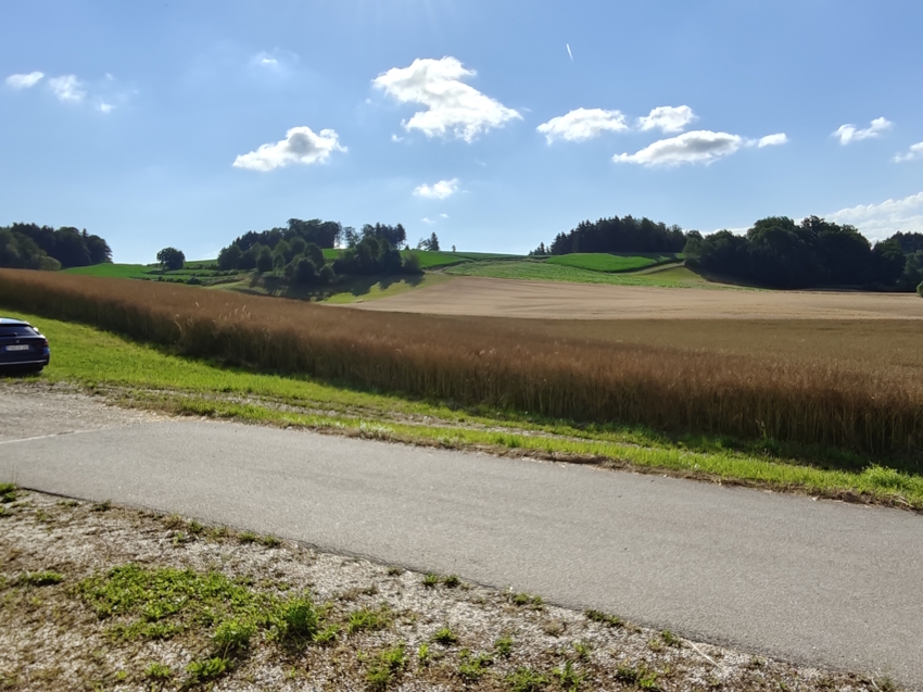 Ausblick