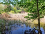 Weiher 2 - Freizeitgrundstück mit großer Hütte und 2 Fischweihern in Bad Füssing/ Ortsteil Würding