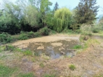 Weiher 1 - Freizeitgrundstück mit großer Hütte und 2 Fischweihern in Bad Füssing/ Ortsteil Würding