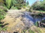 Weiher 1 - Freizeitgrundstück mit großer Hütte und 2 Fischweihern in Bad Füssing/ Ortsteil Würding