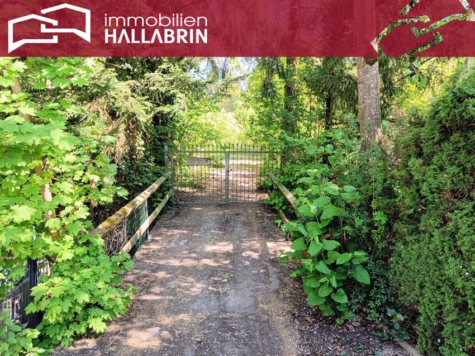 Freizeitgrundstück mit großer Hütte und 2 Fischweihern in Bad Füssing/ Ortsteil Würding, 94072 Bad Füssing / Würding, Freizeit