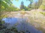 Weiher 2 - Freizeitgrundstück mit großer Hütte und 2 Fischweihern in Bad Füssing/ Ortsteil Würding