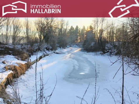 Freizeitgrundstück mit Fischweiher in Pocking/ Ortsteil Pfaffing, 94060 Pocking, Freizeit